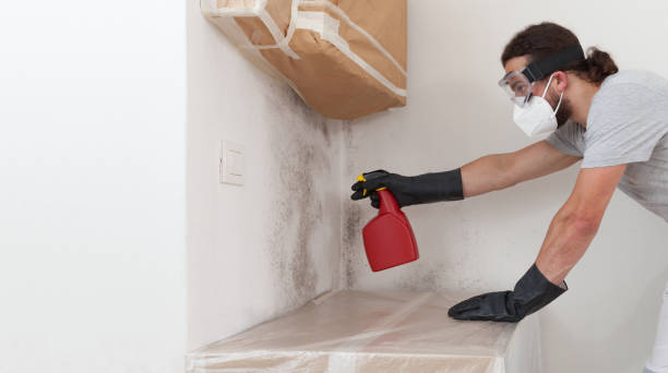 Professional Attic Mold Removal technician working in Keasbey, NJ