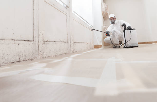 24/7 Emergency Attic Mold Removal experts in Keasbey, NJ