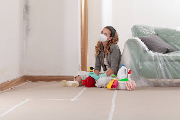 Reliable Attic Mold Removal contractor in Keasbey, NJ by WQB Mold Removal